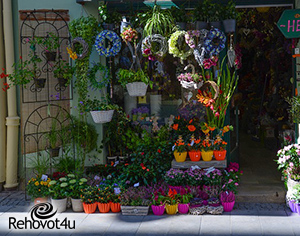 חנויות פרחים מומלצות ברחובות