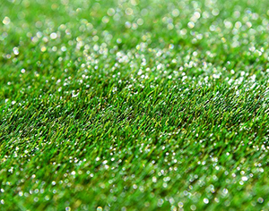 דשא סינטטי – מדוע הוא יכול להתאים לנו?