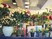 הזמנת פרחים באינטרנט עם החנויות המובילות במרכז
