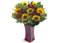 משלוחי פרחים מרשת חנויות פרחים איכותית
