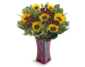 משלוחי פרחים מרשת חנויות פרחים איכותית