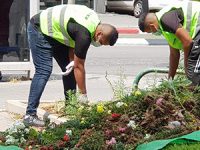 קיץ 2020: 200,000 פרחי העונה יישתלו ברחבי העיר