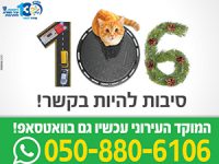 בשנה וחצי האחרונות: 30,000 פניות למוקד העירוני באמצעות הווטסאפ