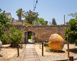 אזרחים ותיקים ברחובות? בואו לבוקר של כיף בפרדס!