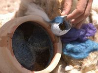 ארגמון קהה קוצים פתיל תכלת – האם מדובר באותו החילזון המקראי?